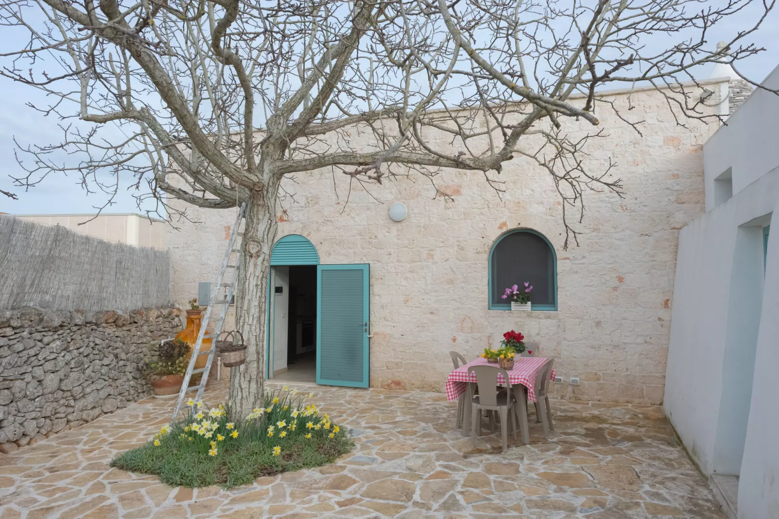 Trulli di Mina - Lamia Fresia Locorotondo-Exterior summer