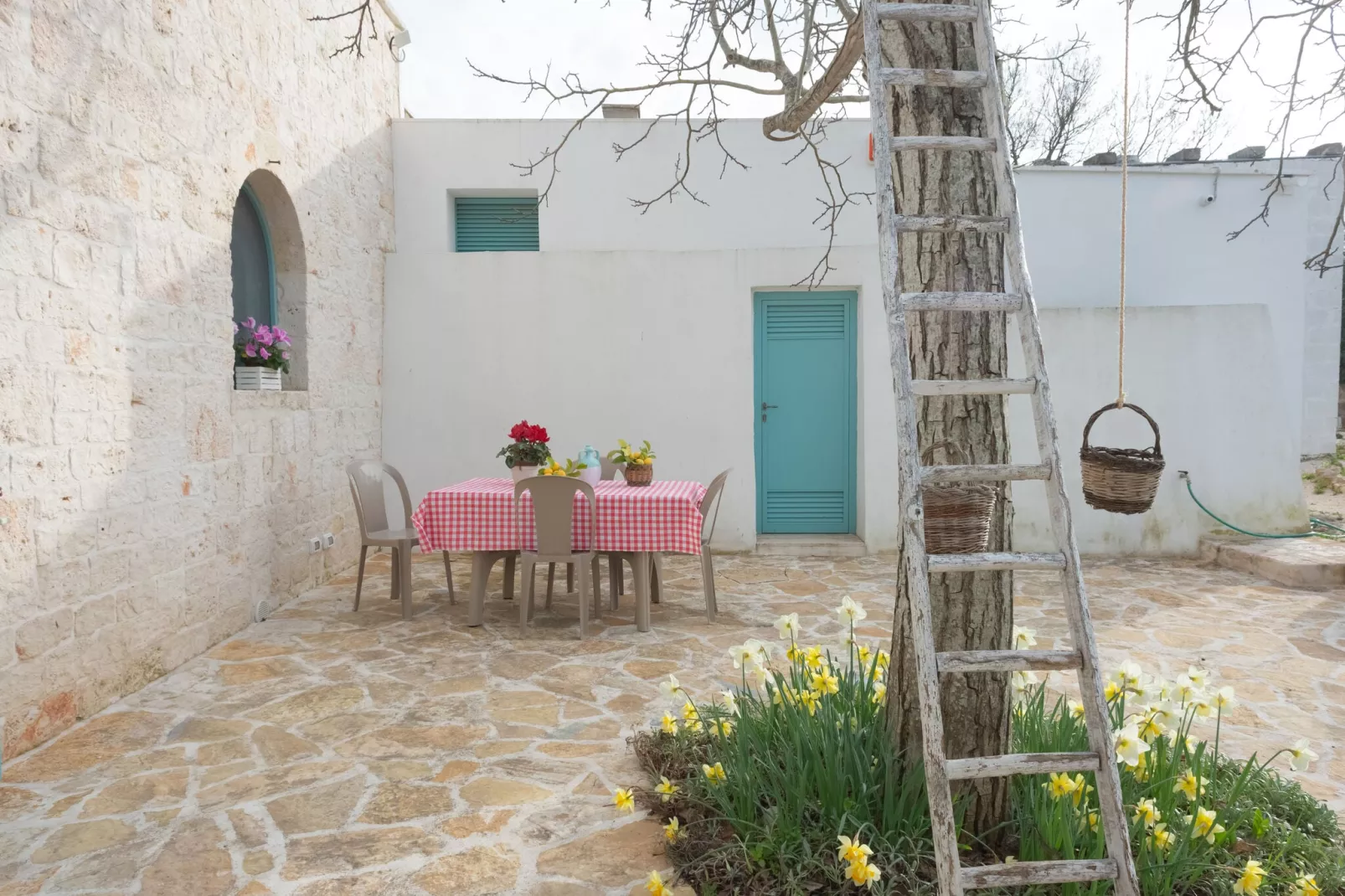 Trulli di Mina - Lamia Fresia Locorotondo-Exterior summer