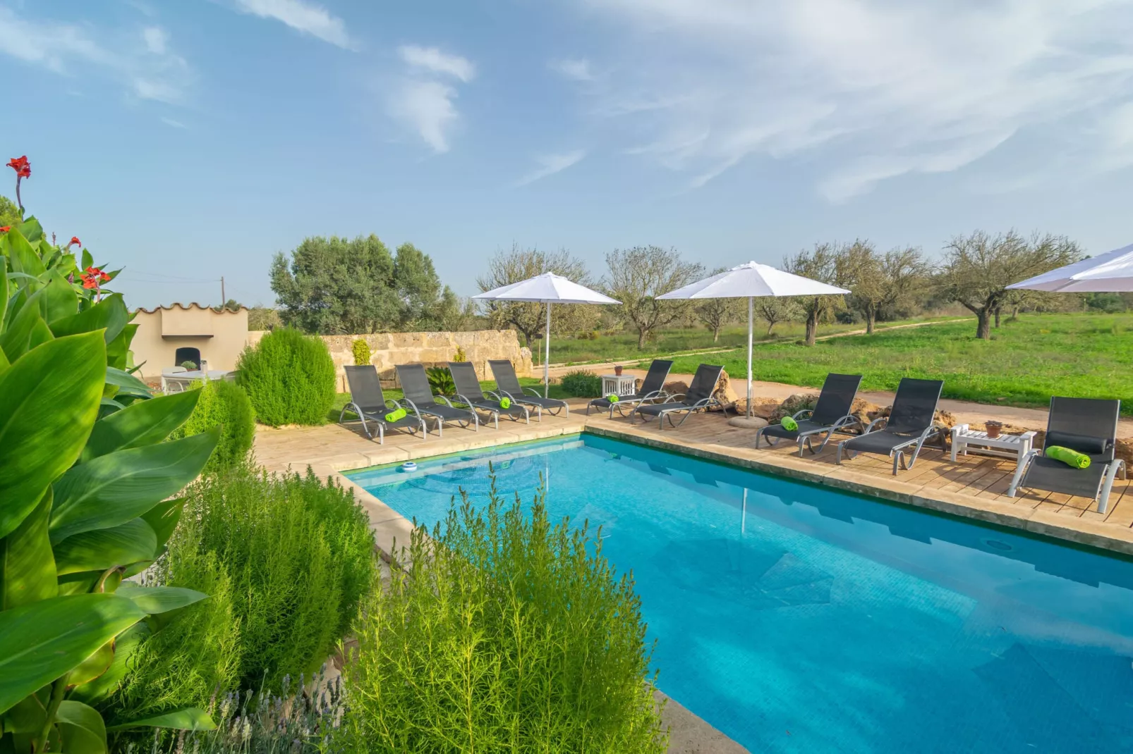 Son Indiot-Piscine