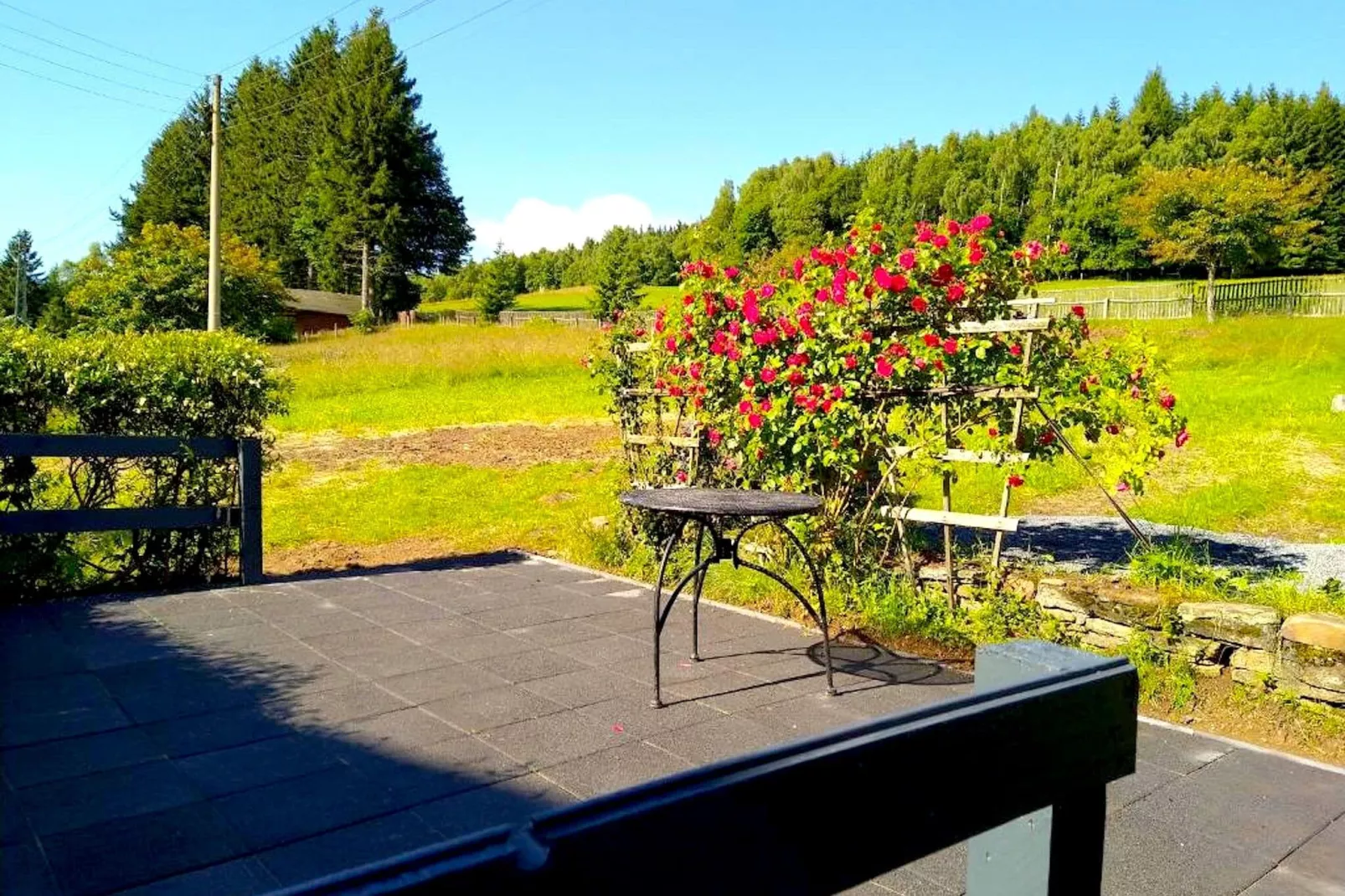 Gruppenferienhaus nähe Kurort Oberwiesenthal-Balcon-terrasse
