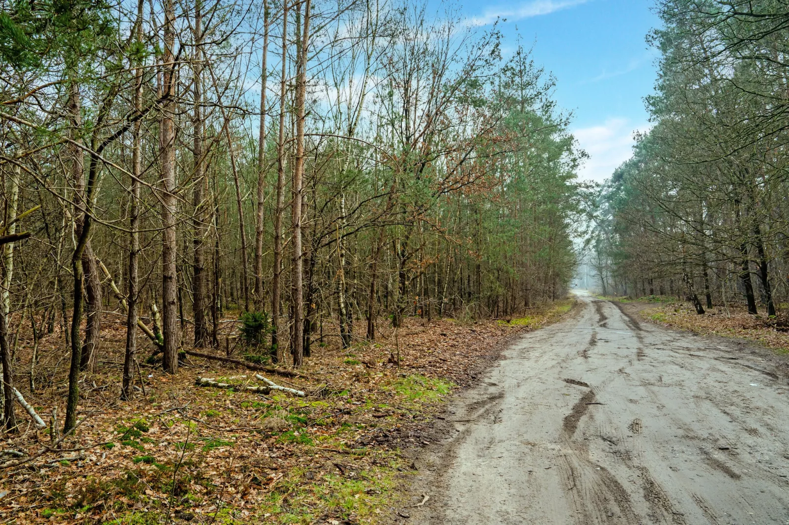 Reggezicht-Areas summer 5km