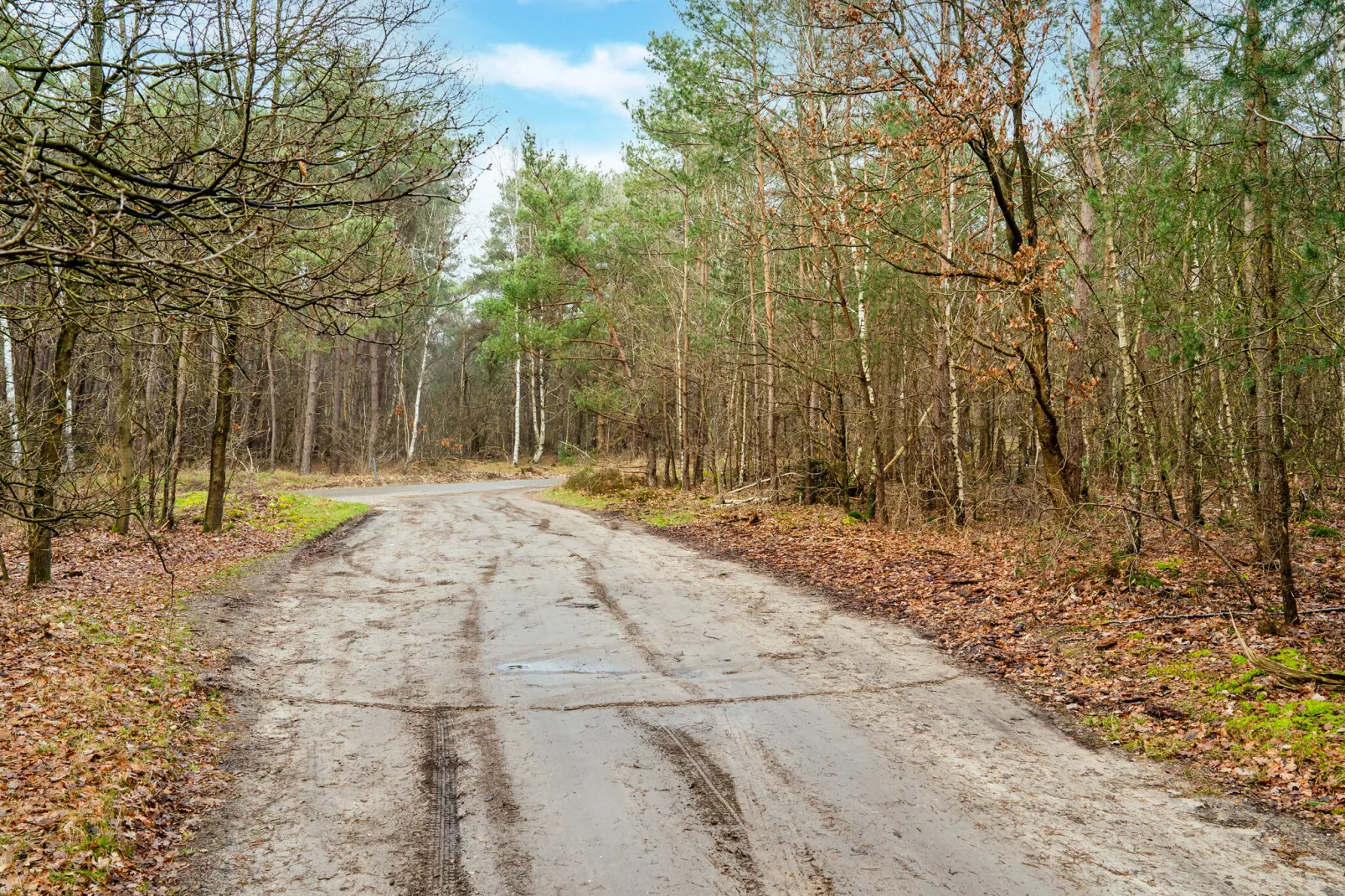 Weidezicht-Areas summer 5km