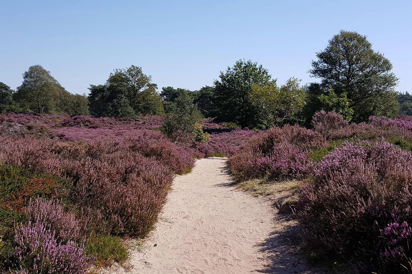 Huisje op paardenboerderij-Gebiete Sommer 20 km