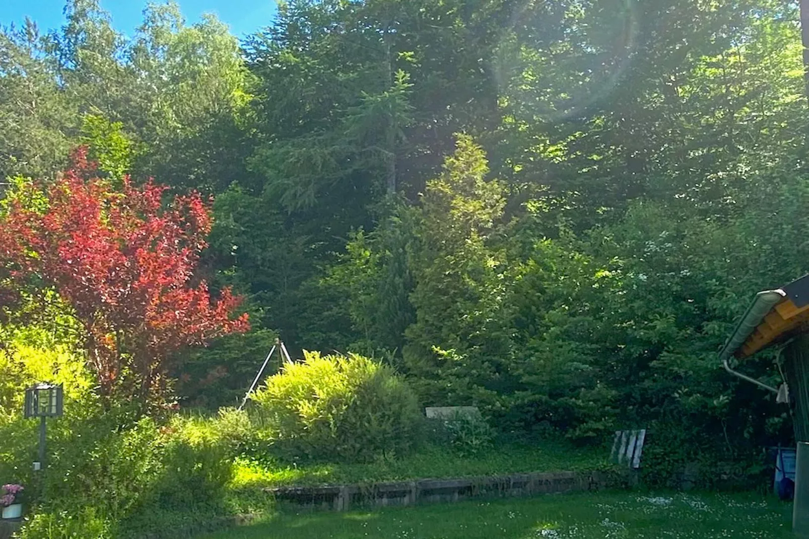 Ferienwohnung  Heinzen Jünkerath-Gardens summer