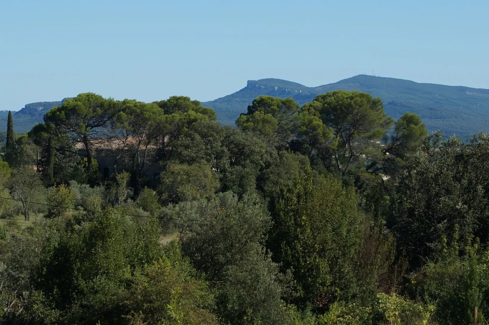 Villa 4 vents D - View in summer