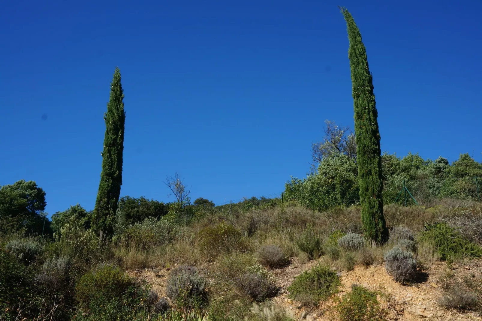 Villa 4 vents D - Gardens in summer