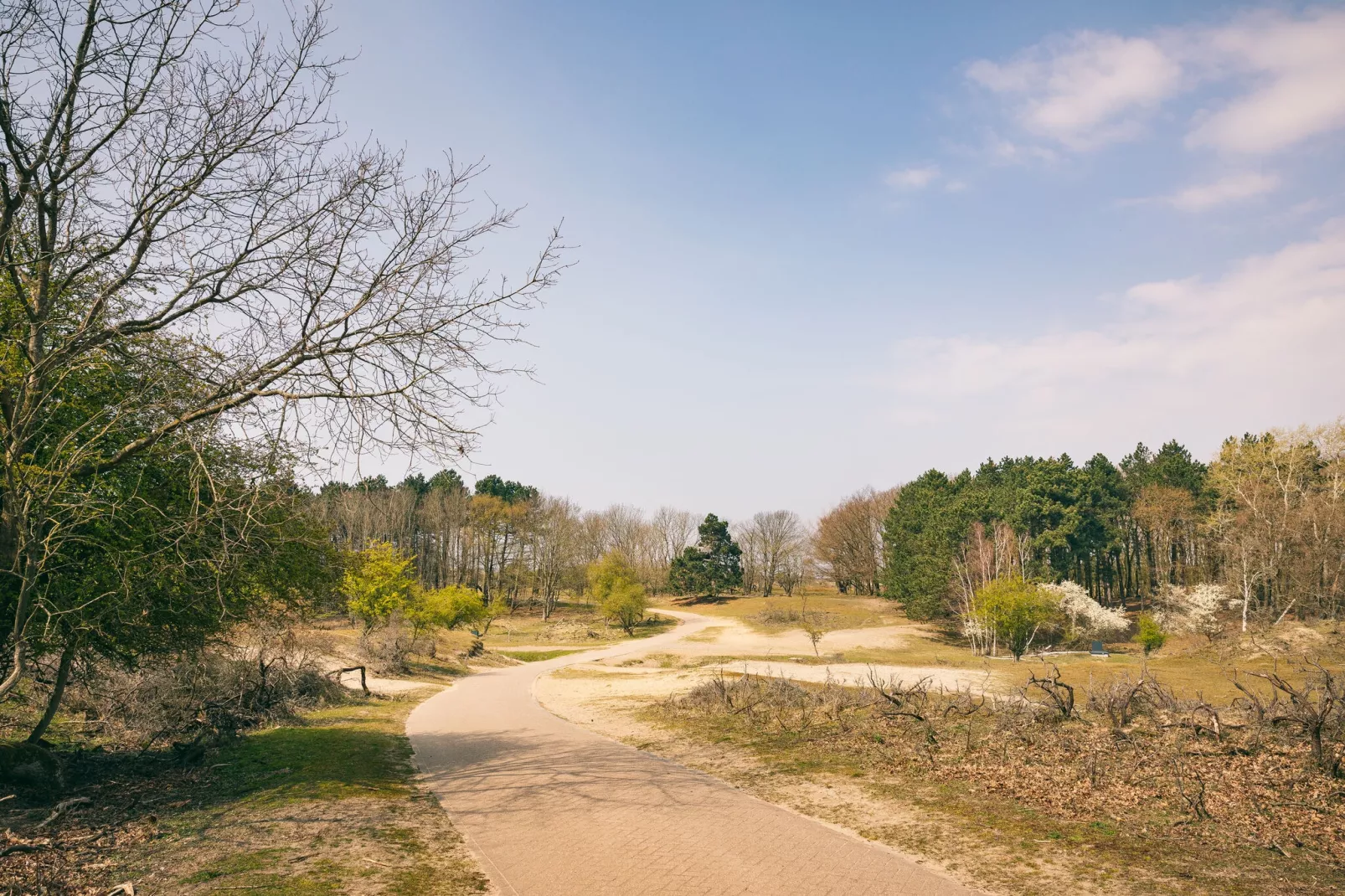 Duinresort Dunimar 5-Areas summer 5km