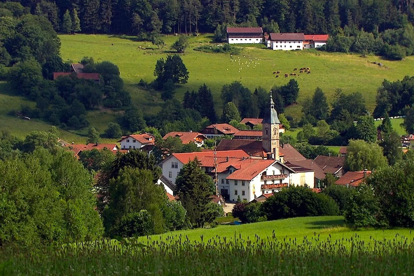 	Holiday flats Haus am Wald Zenting-Wohnung für 2 Personen-Zones d'été à 5 km