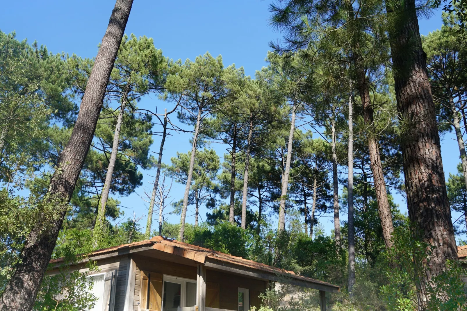 Résidence Landes - Moliets // Chalet 3 pcs 5 pers et 1 bébé-Outdoor