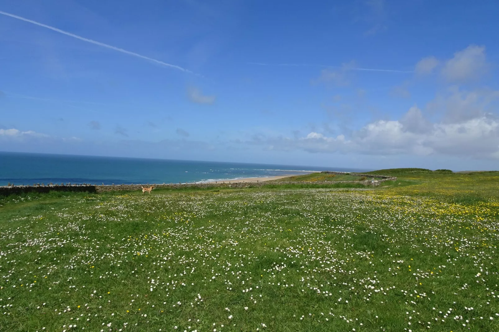Holiday home Barneville-Carteret-Zones d'été à 1 km