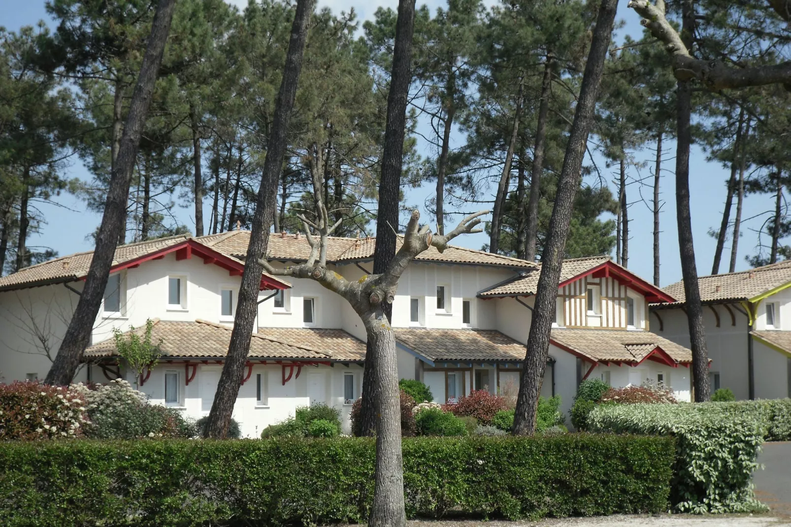 Les Greens du Bassin 5-Exterior summer