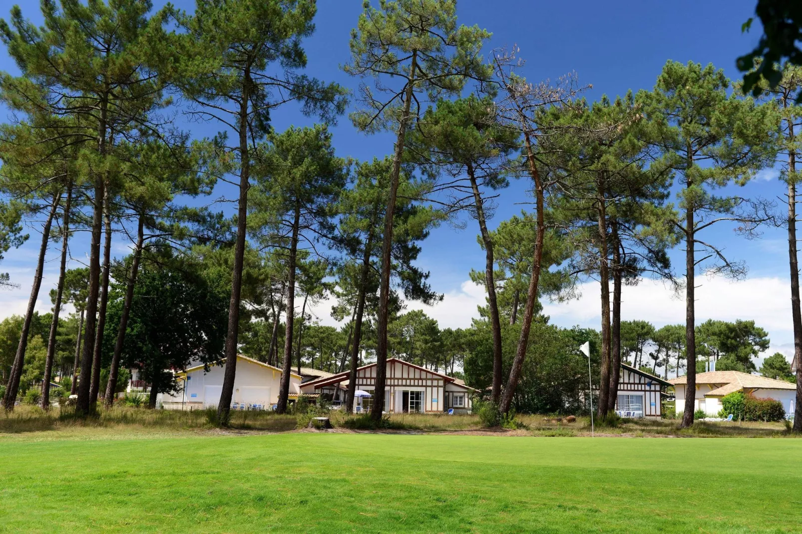 Les Greens du Bassin 5-Exterior summer