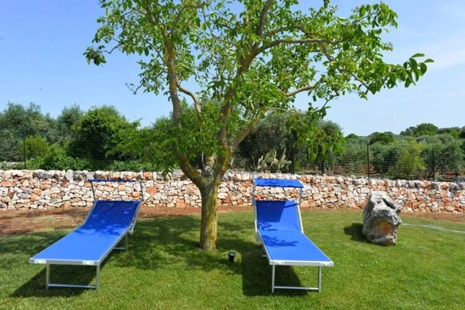 Casale Dolina Verde Ostuni-Exterior summer