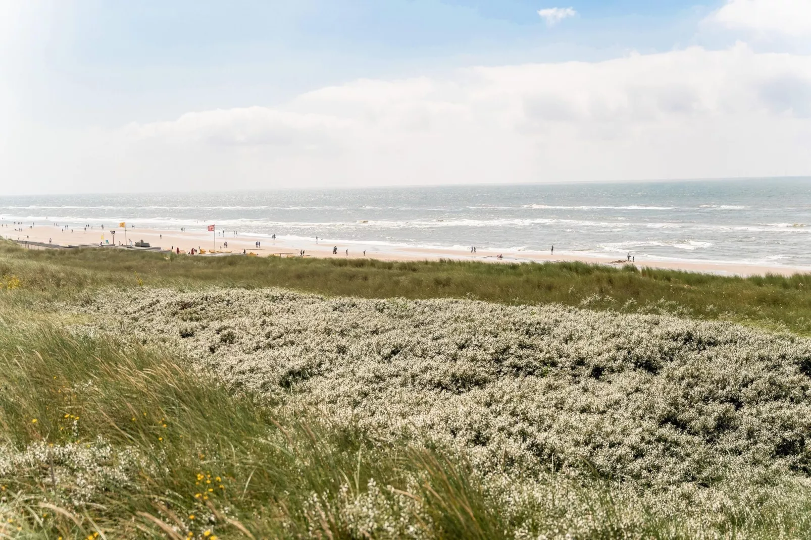 Naast het Bollenveld-Areas summer 5km