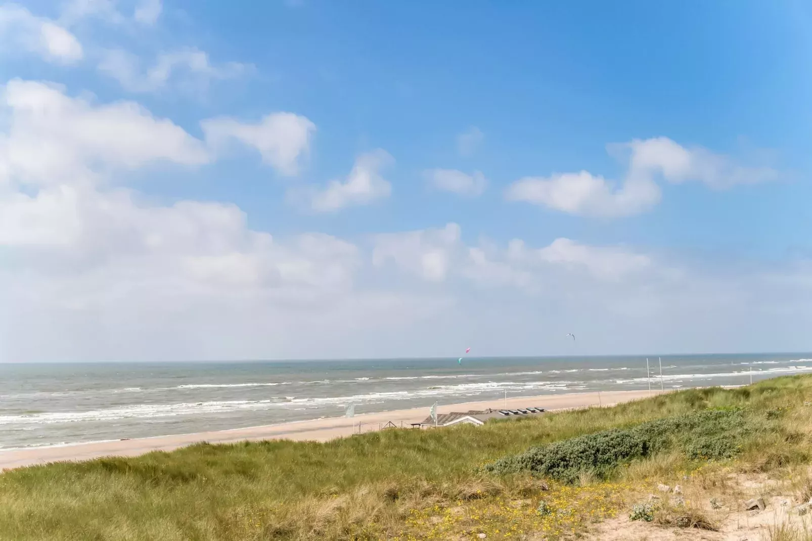 Naast het Bollenveld-Areas summer 5km