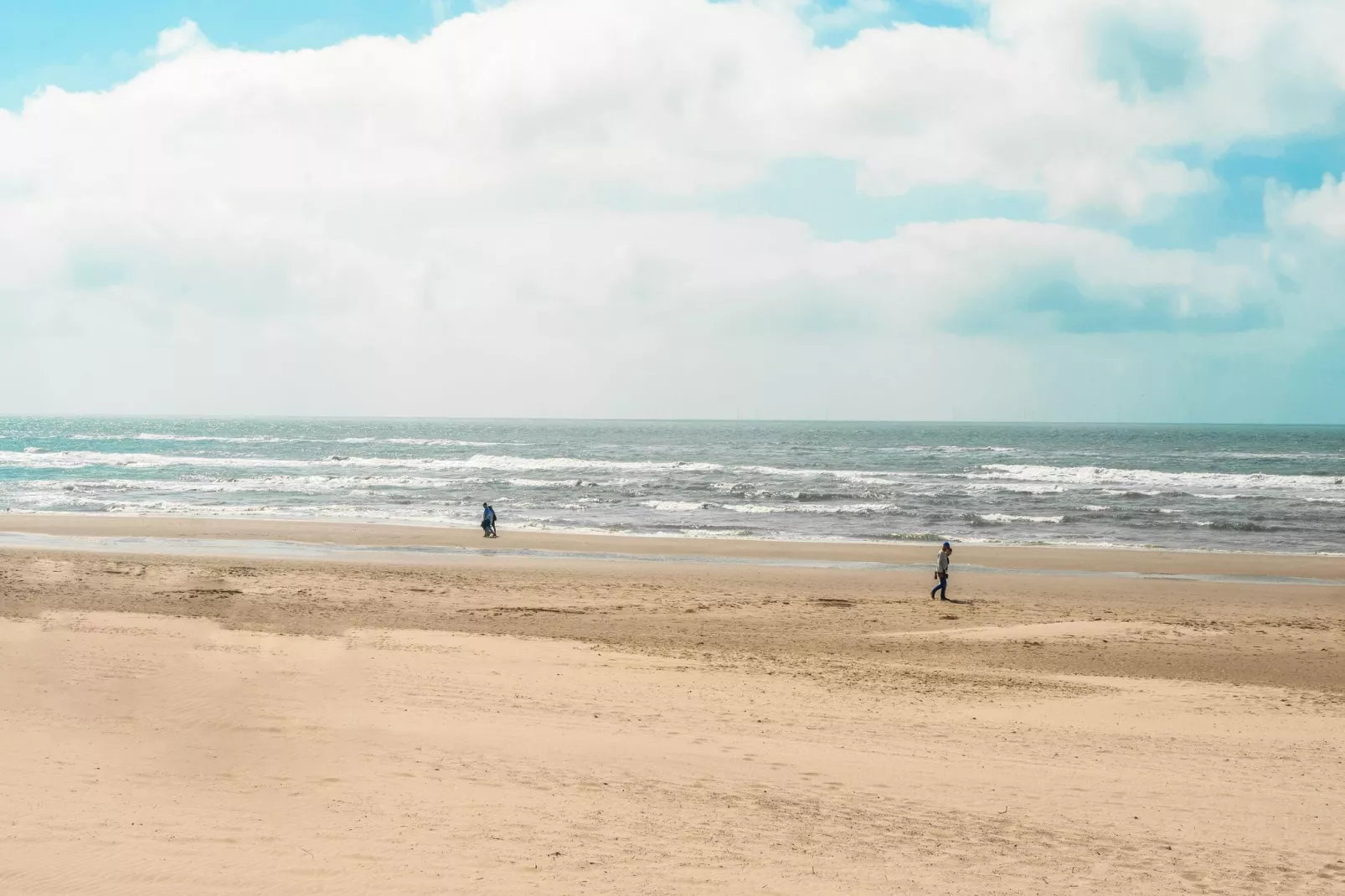 Naast het Bollenveld-Areas summer 5km