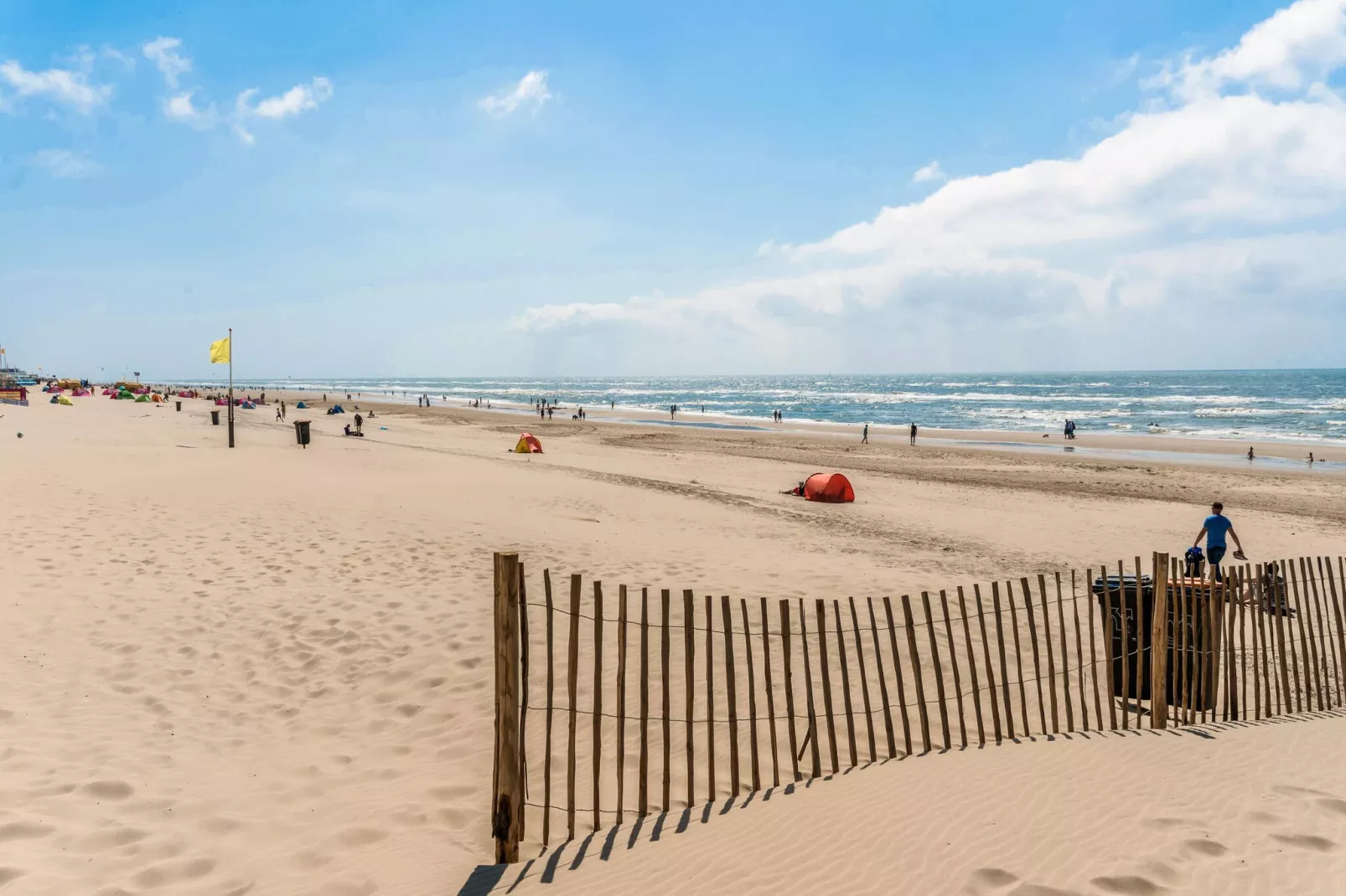 Naast het Bollenveld-Areas summer 5km
