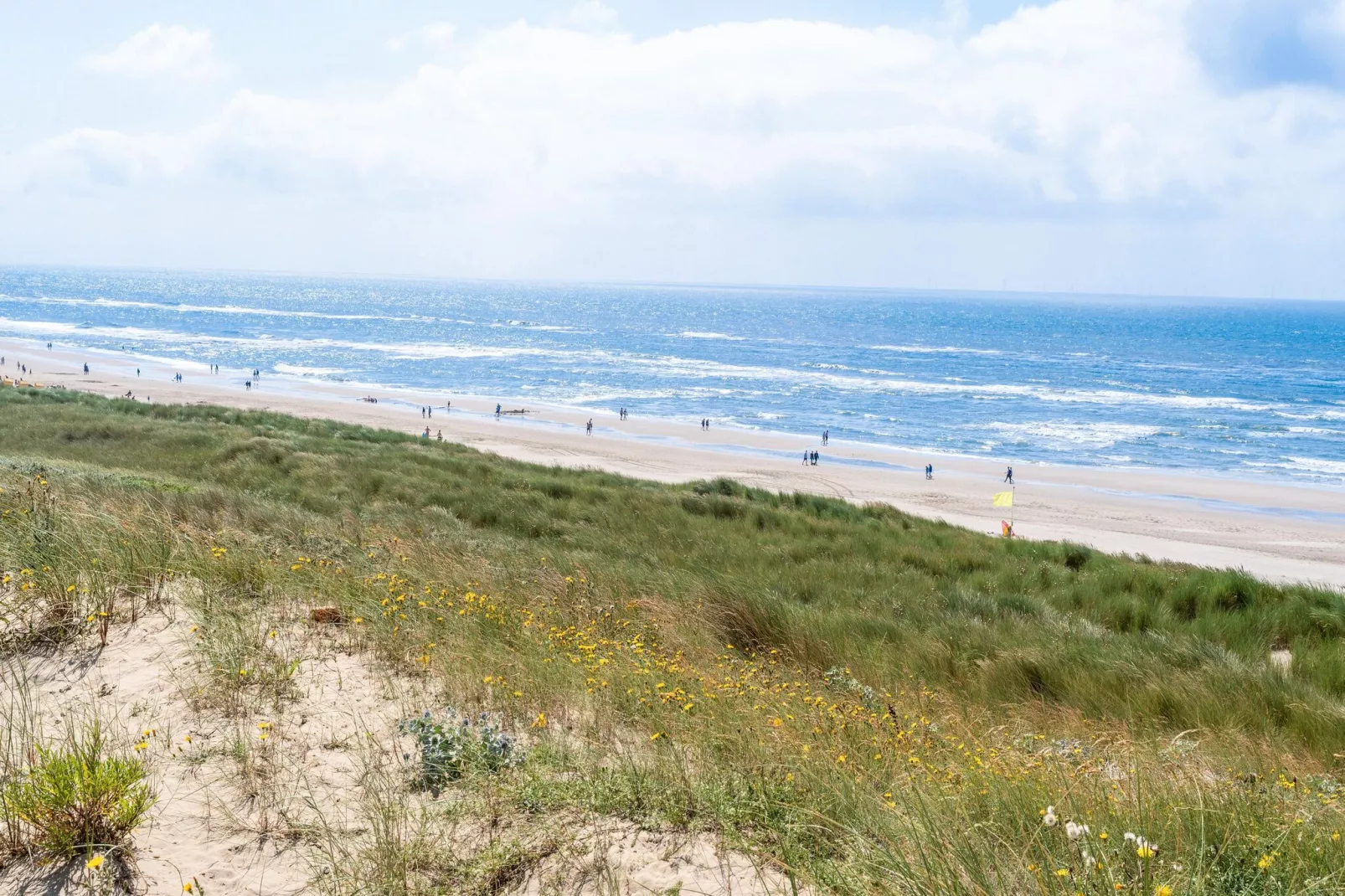 Naast het Bollenveld-Areas summer 5km