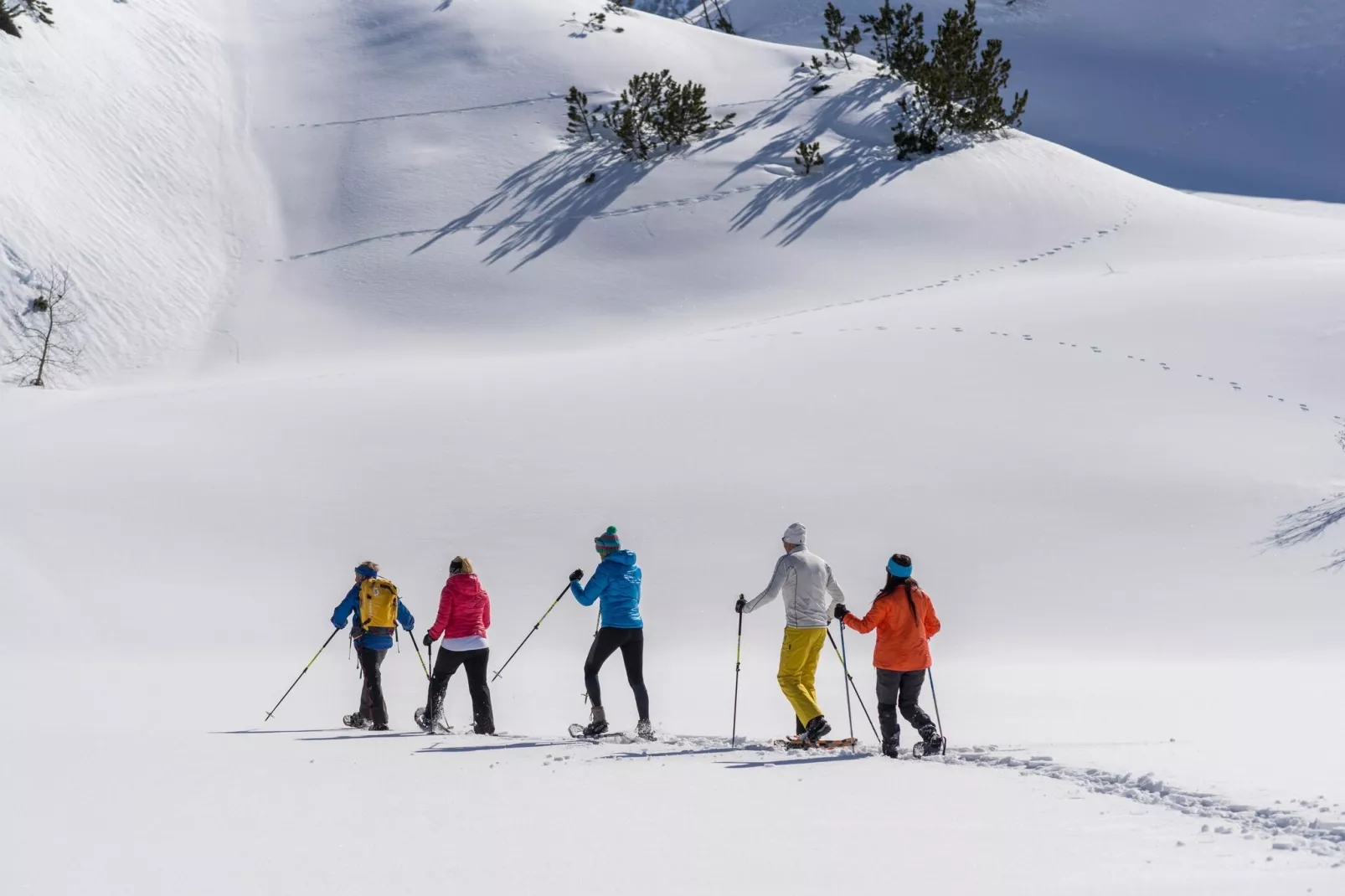 Apart Lastretta-Zones hiver à 5 km