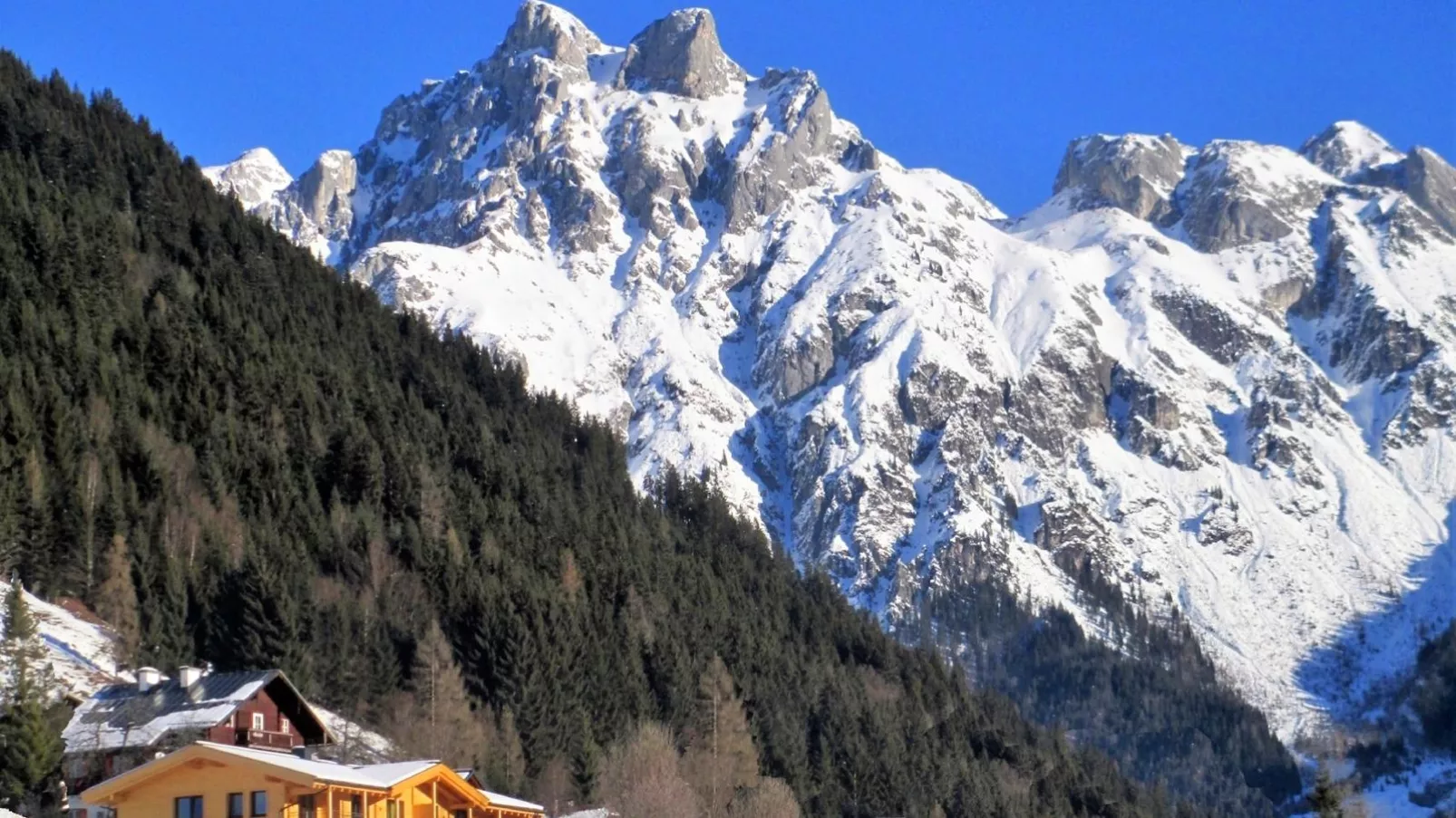 Bergblick-Außenbereich Winter