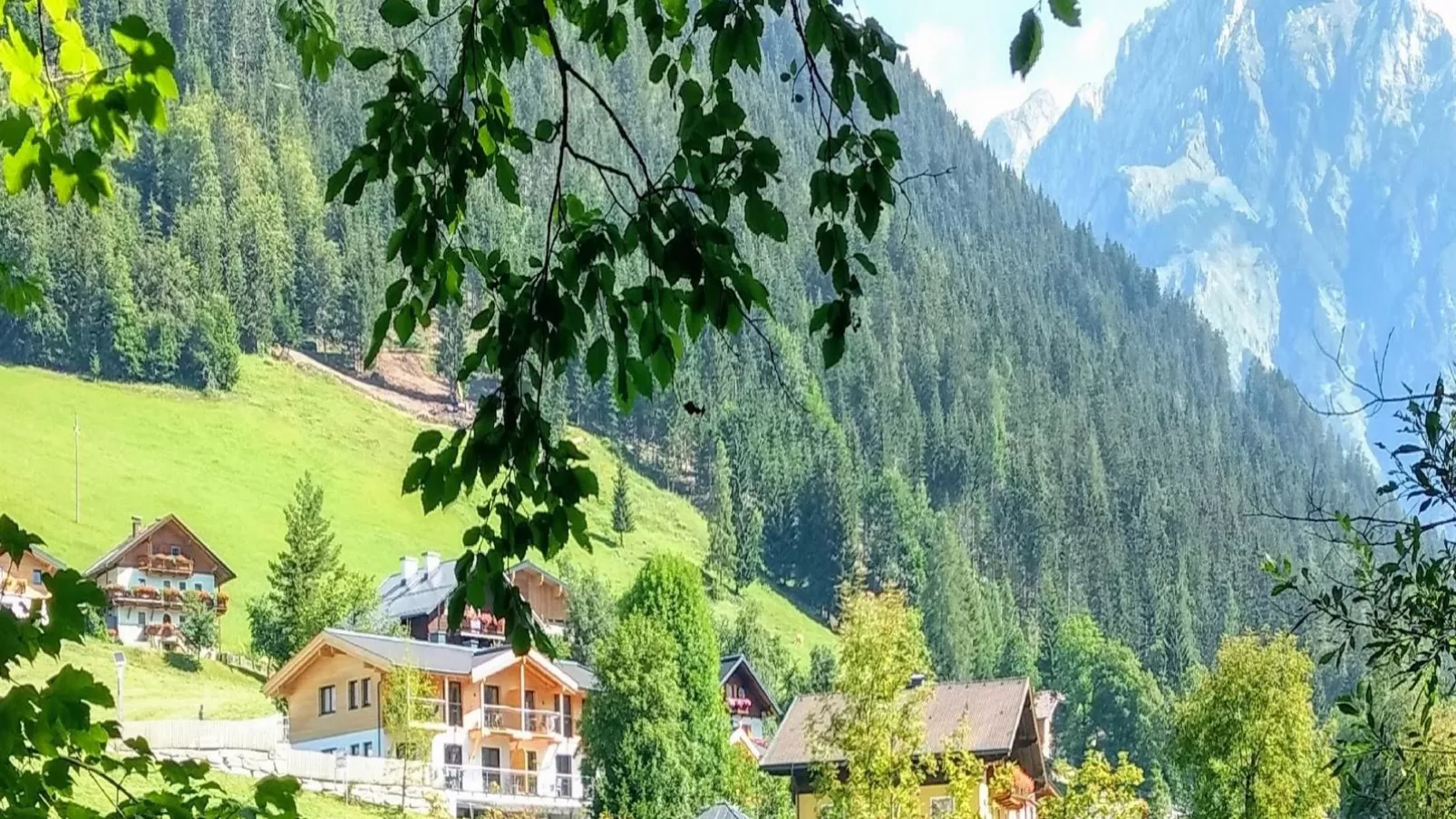 Bergblick-Gebiete Sommer 1 km