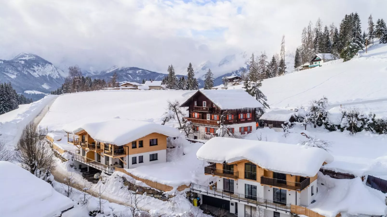 Bergblick-Außenbereich Winter