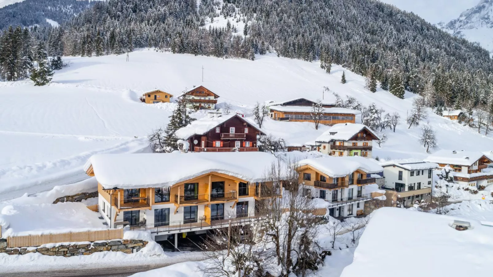 Adlerblick-Exterior winter