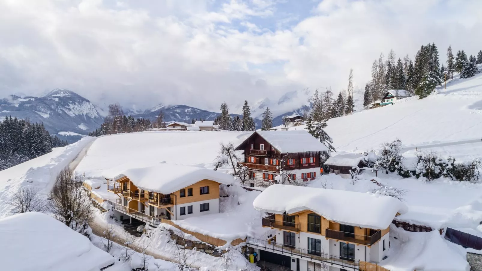 Adlerblick-Exterior winter
