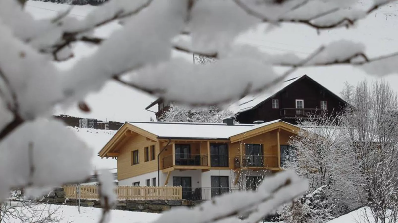 Adlerblick-Exterior winter