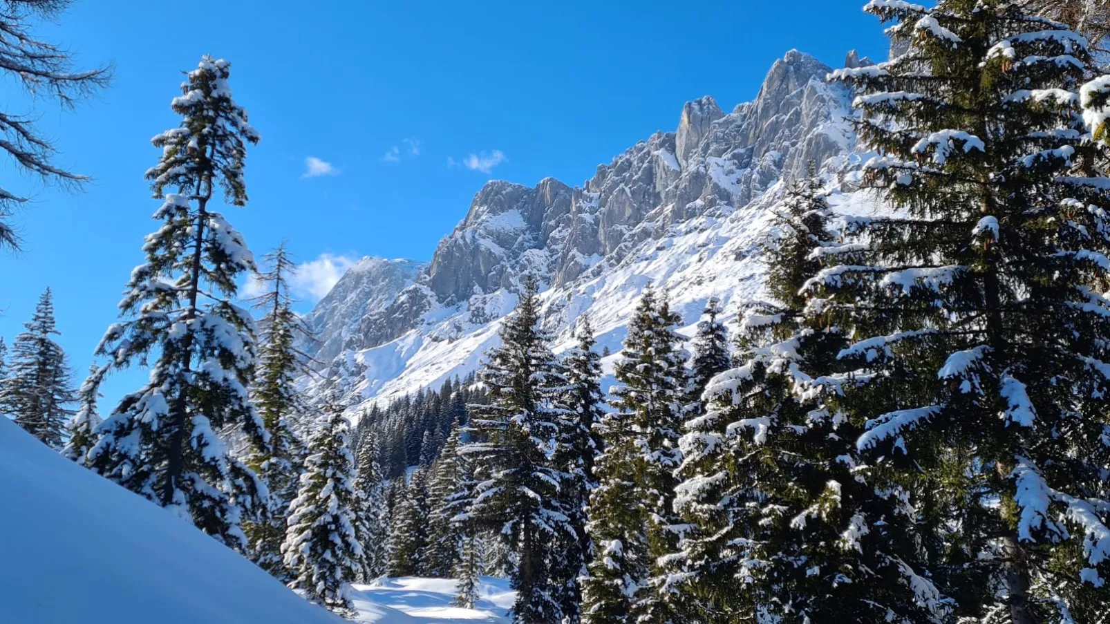 Sonnblick Top 6-Area winter 1km