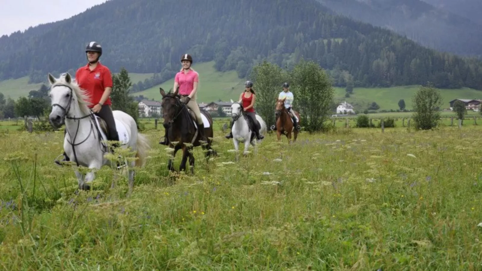 Elsa Flachau-Areas summer 1km