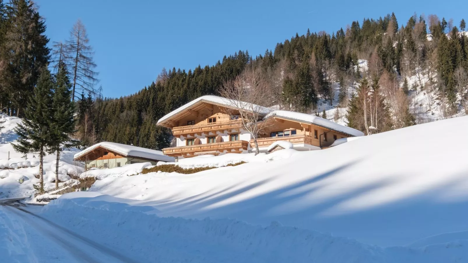 Hoellerhof basic-Exterior winter