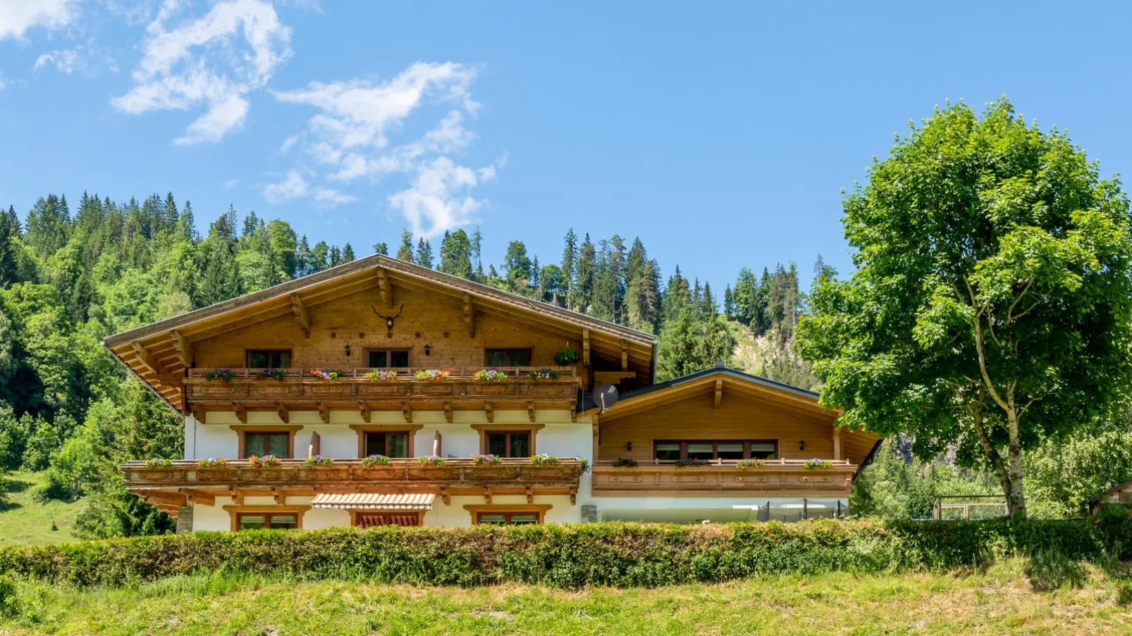 Hoellerhof basic-Exterior summer