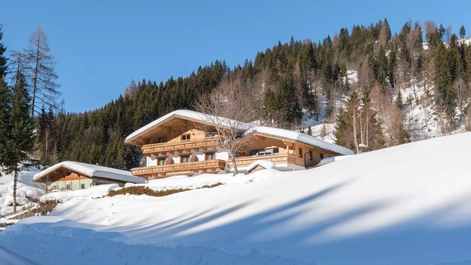 Hoellerhof Luxe-Exterior winter