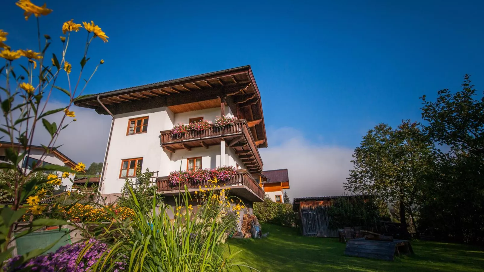 Pistenblick Forstau-Exterior summer