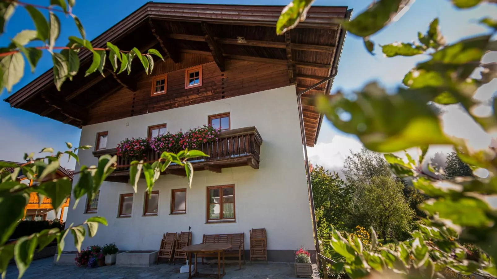Pistenblick Forstau-Exterior summer