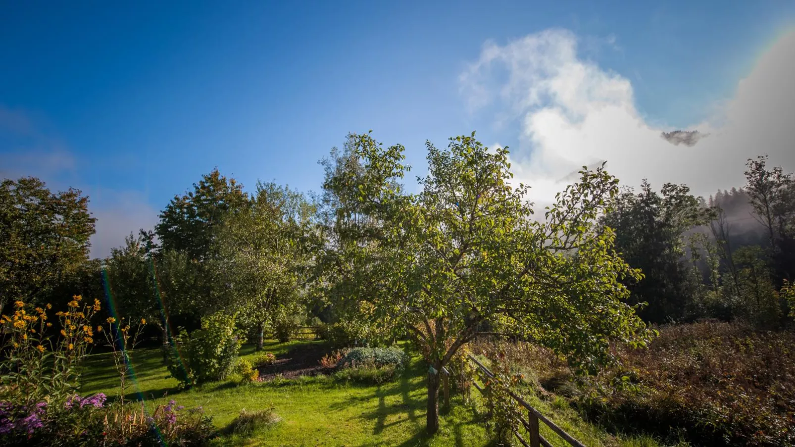 Pistenblick Forstau-Gardens summer