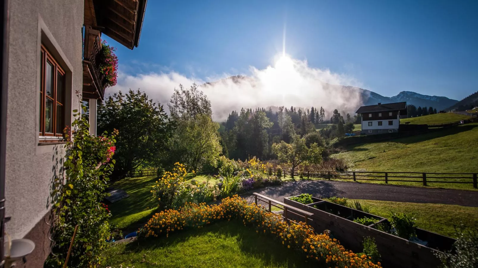 Pistenblick Forstau-View summer