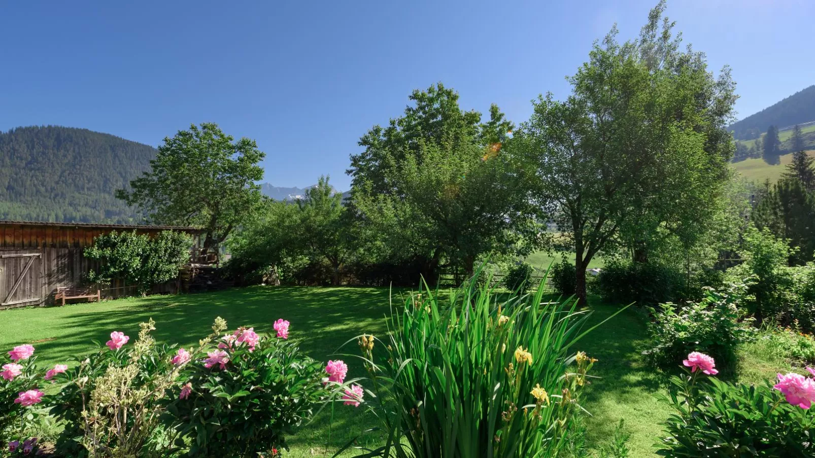 Pistenblick Forstau-Gardens summer