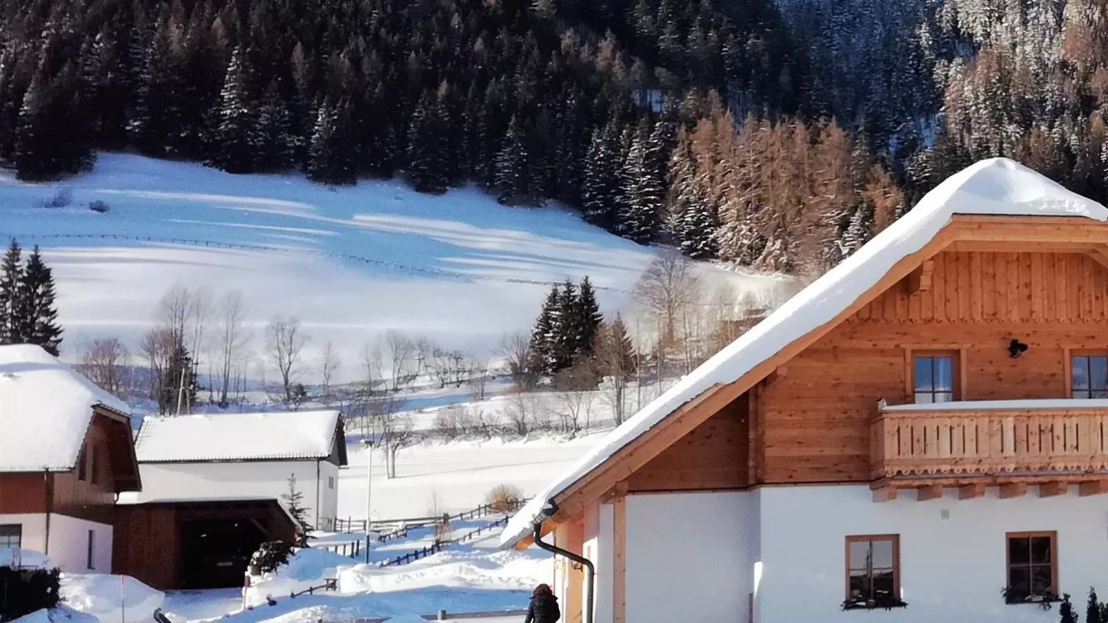 Wolfgangchalet A-Exterior winter