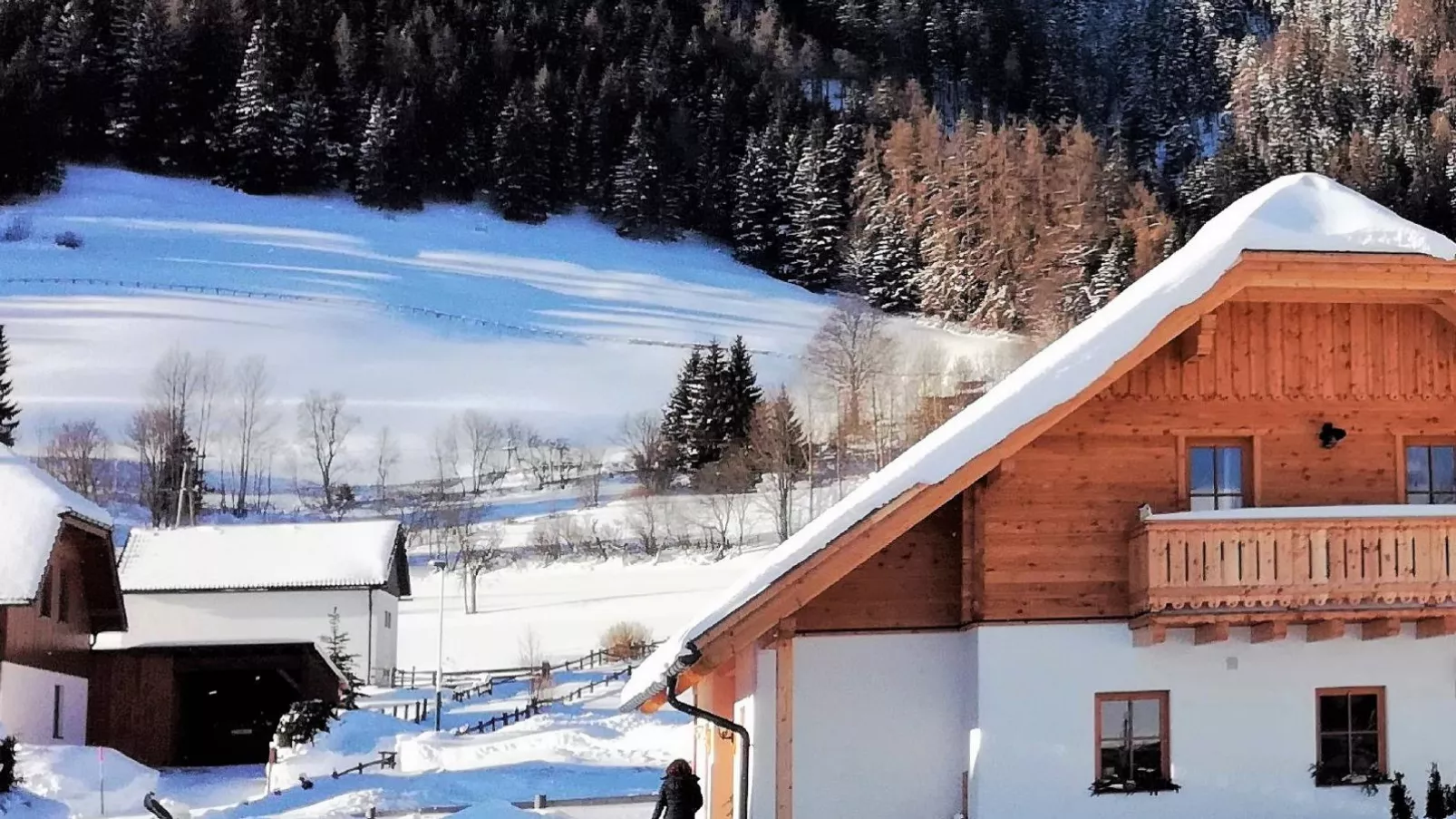 Wolfgangchalet B-Exterior winter