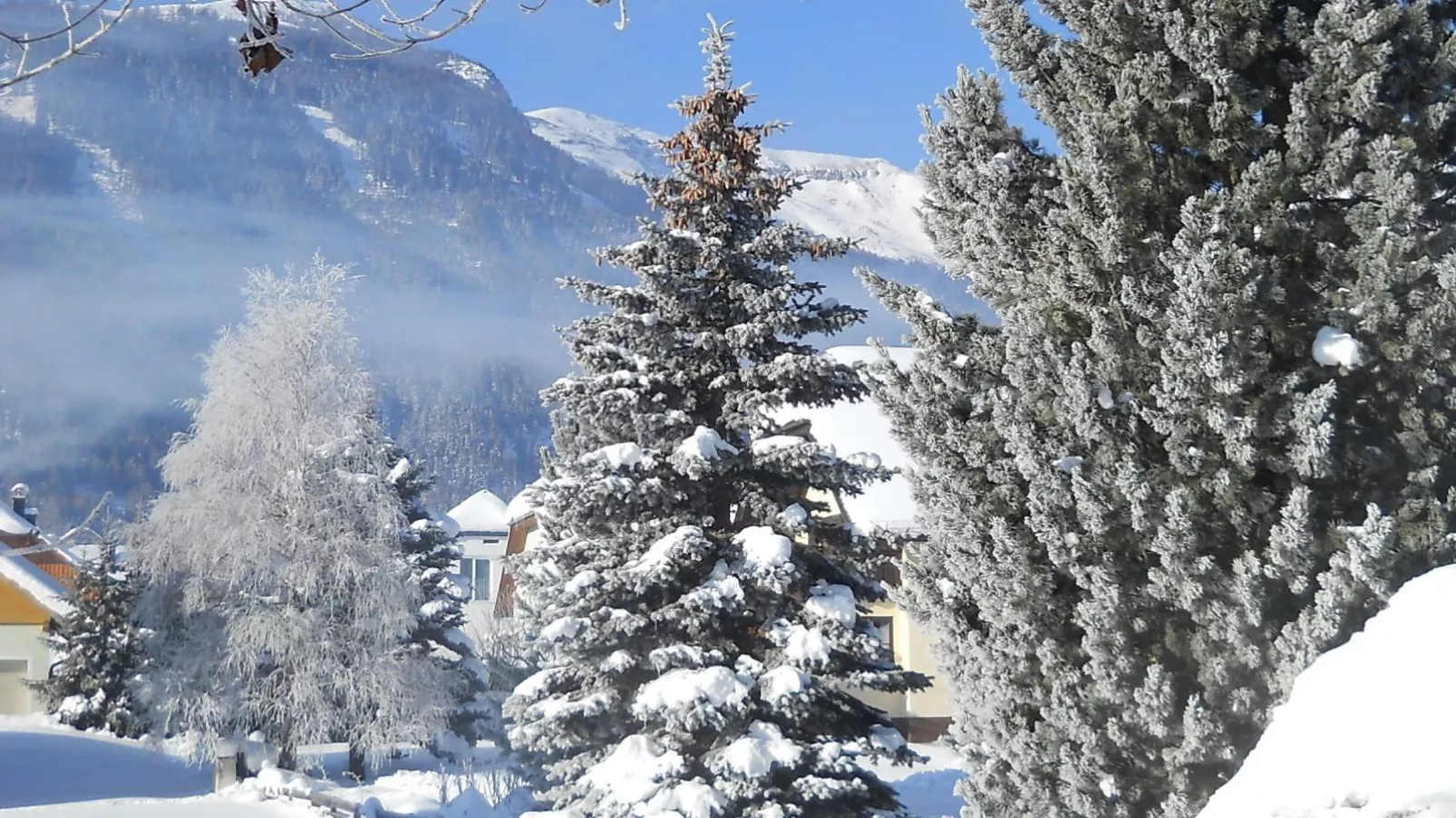 Wolfgangchalet B-Area winter 5km