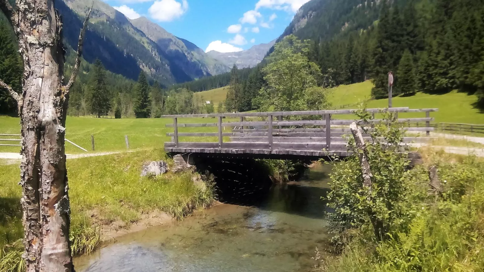 Wolfgangchalet C-Areas summer 5km