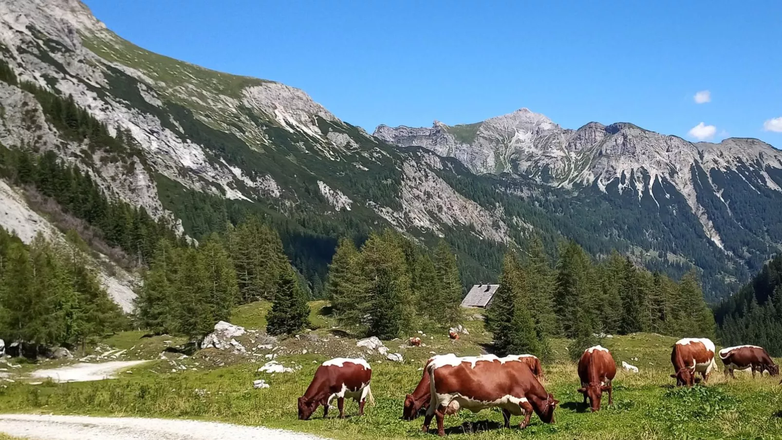 Wolfgangchalet C-Areas summer 20km