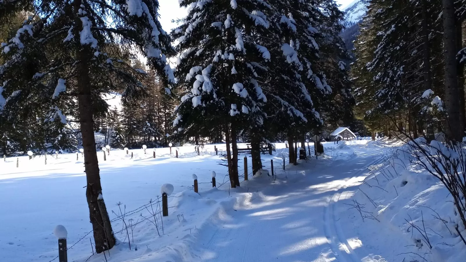 Wolfgangchalet C-Area winter 5km