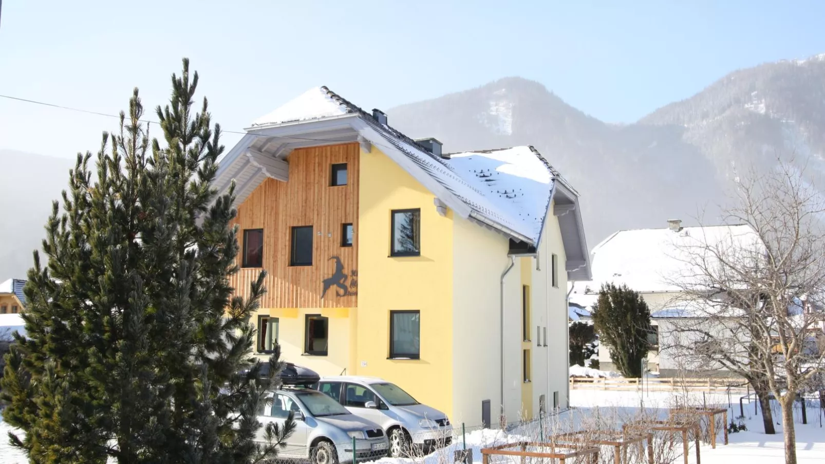 Alpensteinbock Mauterndorf I-Exterior winter