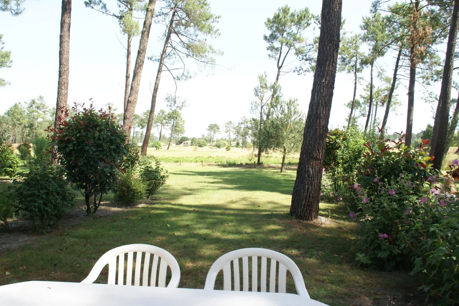 Les Greens du Bassin 5-Gardens summer