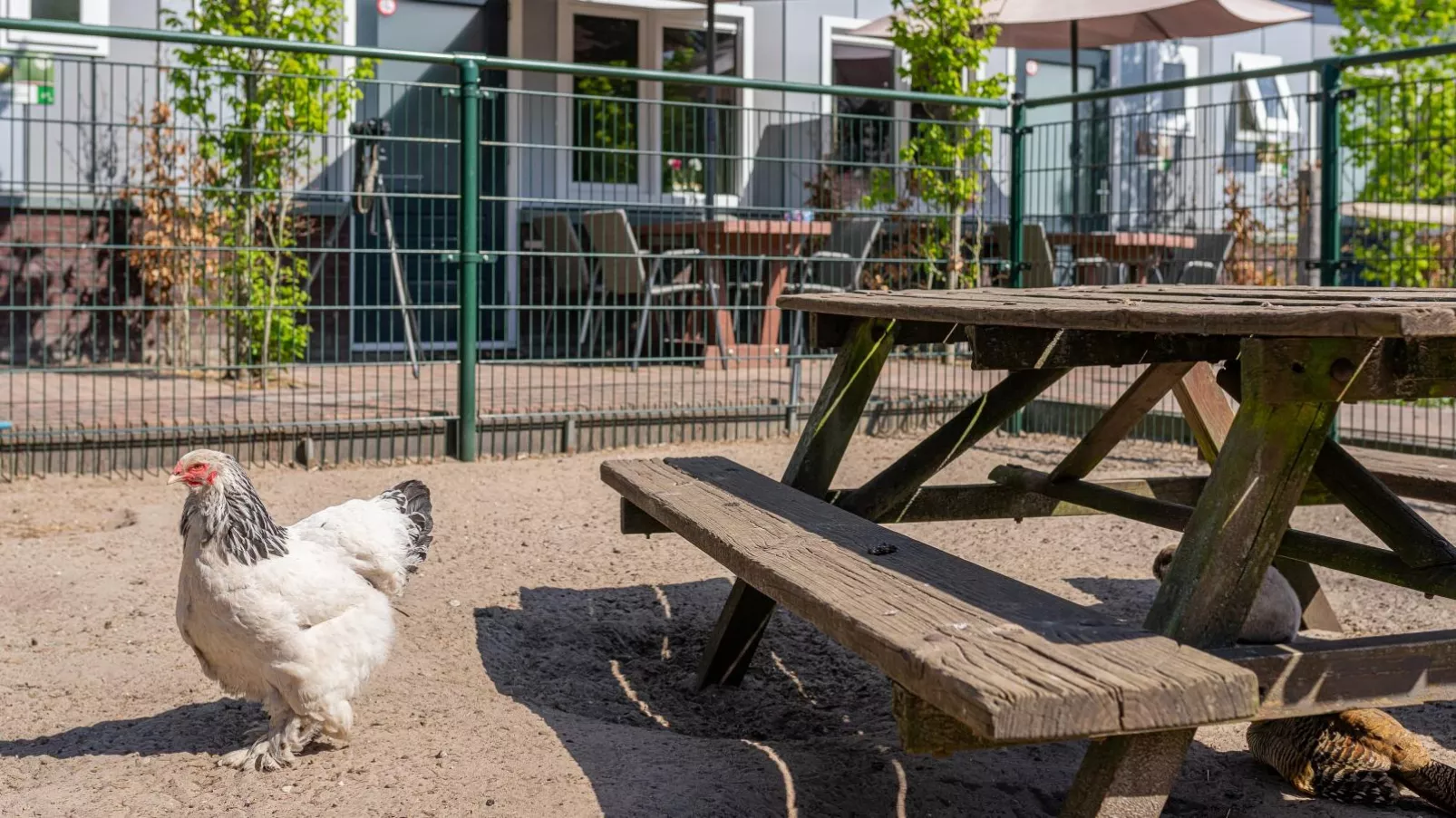 Vakantiehuis Das-Park facilities