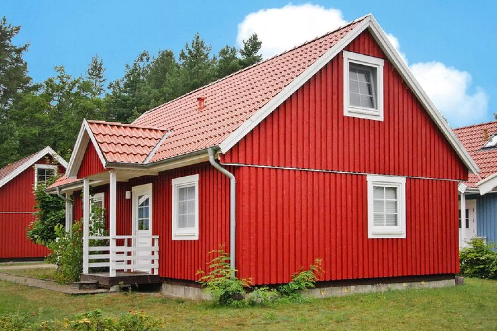 Ferienhaus Reet 65 qm-Exterior summer