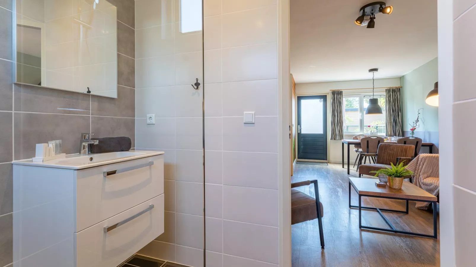 Tiny house Zwarte Mees-Bathroom